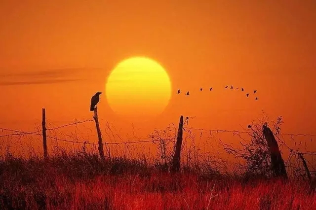 中庭人的一天！